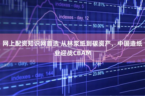 网上配资知识网首选 从林浆纸到碳资产，中国造纸业迎战CBAM