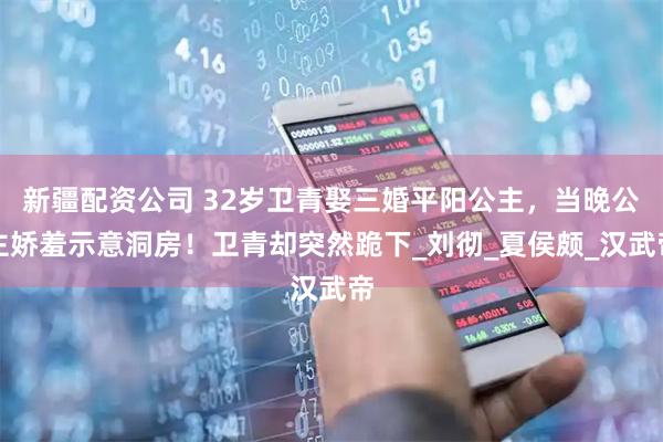 新疆配资公司 32岁卫青娶三婚平阳公主，当晚公主娇羞示意洞房！卫青却突然跪下_刘彻_夏侯颇_汉武帝